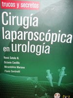 Cirurgía Laparoscópica en Urología